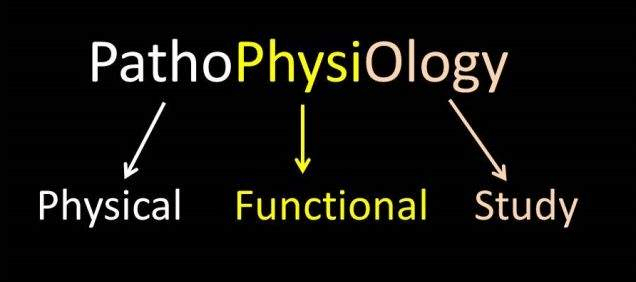 1-1-what-is-pathophysiology-chemistry-libretexts